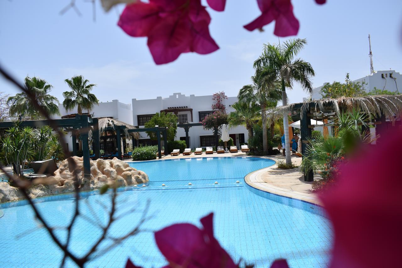 Apartmán Studio In Delta Sharm Exteriér fotografie