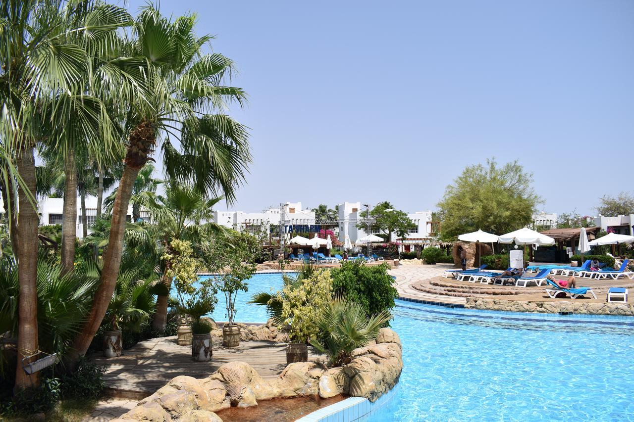 Apartmán Studio In Delta Sharm Exteriér fotografie